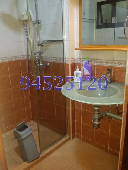 Blk 309C Anchorvale Road (Sengkang), HDB 5 Rooms #73910132